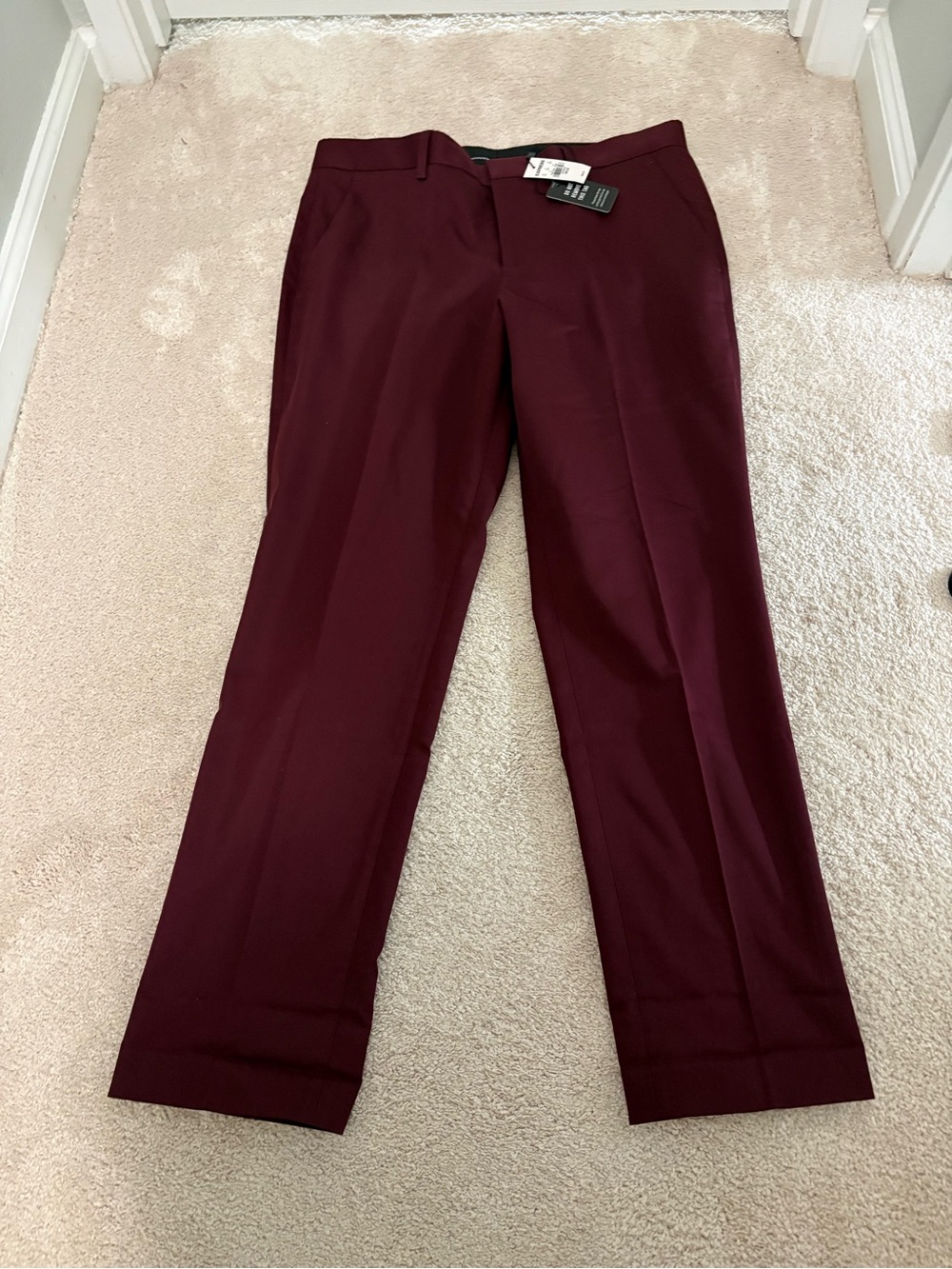 Express Men's Dress Pants in Burgundy